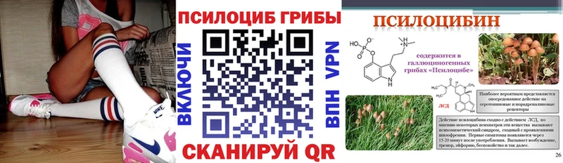 Псилоцибиновые грибы Cubensis  Миллерово 
