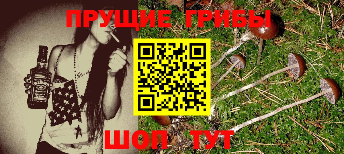 Миллерово  Галлюциногенные грибы Magic Shrooms  Вход с VPN 