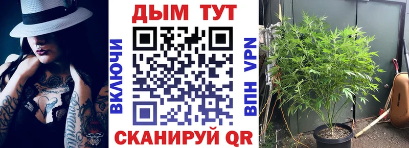где можно купить наркотик  Миллерово  Конопля гибрид 